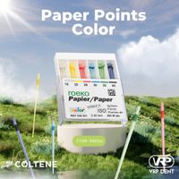 Paper Points Colour [เปลี่ยนสีเมื่อโดนน้ำ] ROEKO no.30