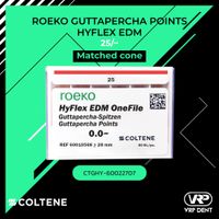 HyFlex EDM Guttapercha Points #25/~ 60 pcs. 