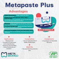 Metapaste Plus  -1
